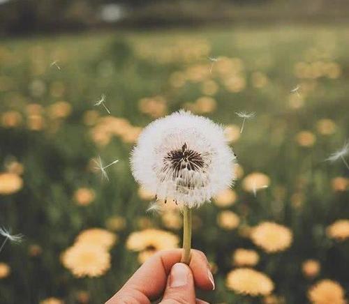 感动人心的单词