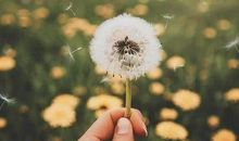 一句话打动人心情话