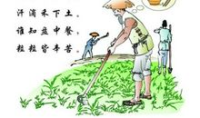 和粮食有关的谚语