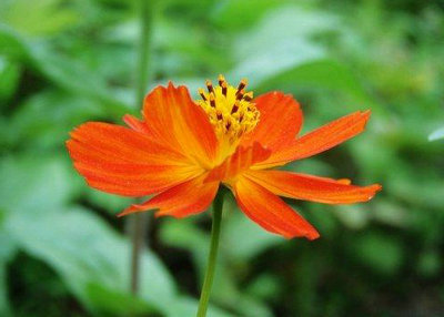 瞬间的美丽是记忆中永恒的永恒