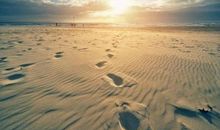 描写夏天炎热的成语