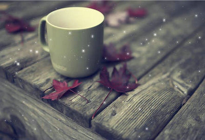 片刻之美，但记忆中的永恒1