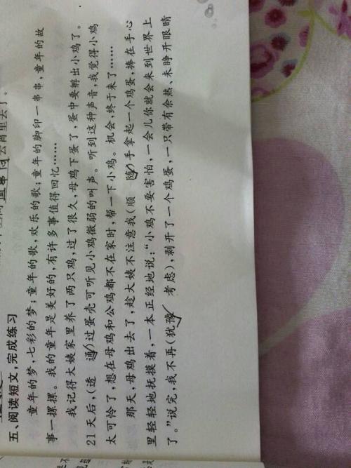 北风是什么样的隐喻