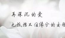 高冷句子短句霸气十足