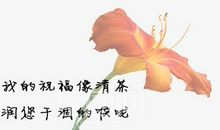感恩教师节祝福语