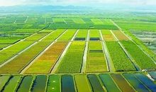 农业综合开发项目区宣传标语