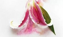 玫瑰花的比喻句