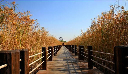 世界上最美丽的爱语