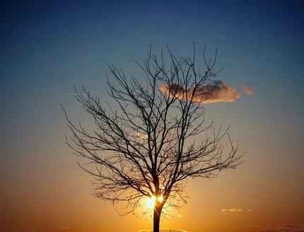 太阳照进我的眼睛，告诉我我并不孤单