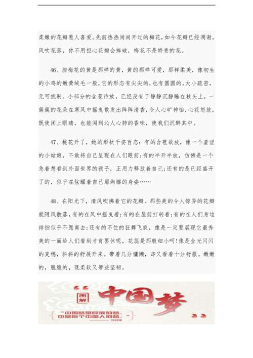 描述大树的寓言