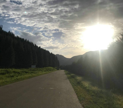 太阳照进我的眼睛，告诉我，我并不孤单1