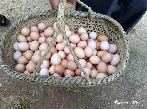 一篮子鸡蛋滚下山