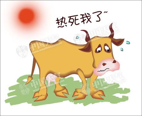 关于夏天炎热的谚语