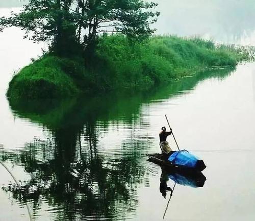 关于用饵钓鱼的谚语