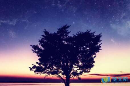 描述夜空的单词