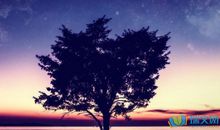 描写夜晚天空的词语