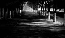 描写走夜路的句子