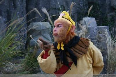 美猴王的飞毛鞋后雨