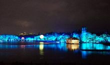 描写晚上灯光的句子