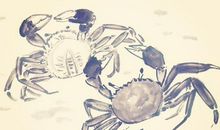 秀才不出门歇后语