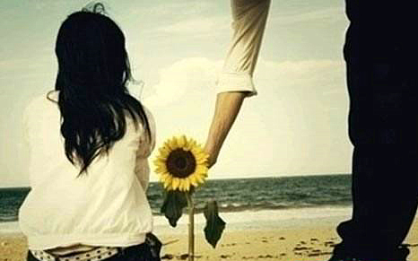 图片与美丽图画的经典人生句