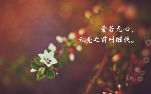 用图片和美丽的图画写经典的人生句子1