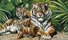 给下山虎开路歇后语