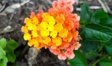 2020超级霸气说说