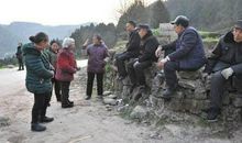 农村经常用的谚语