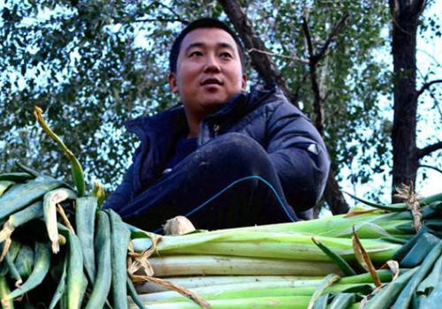 与大葱有关的谚语