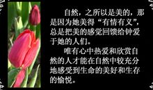 30岁人生感悟的句子：带着自己的梦，以一种骄傲的姿态走下去