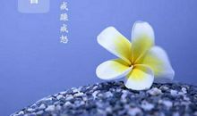 形容夏天热的谚语