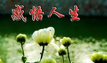 唯美感悟人生的经典句子：人生重要的是找到很湿的雪和很长的坡