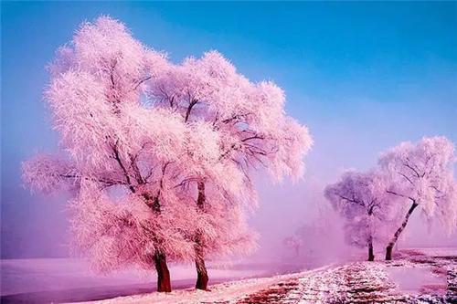 寒冷的天气隐喻