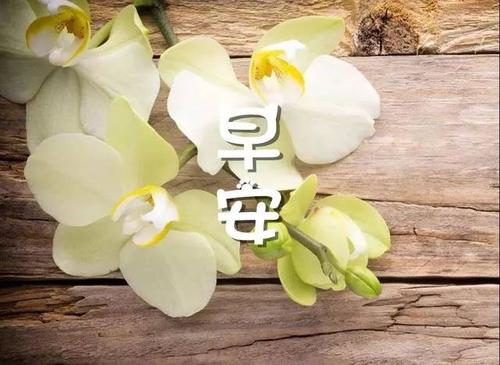 七月一日的祝福