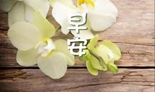 七月第一天的祝福语