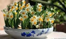 谨慎小心的谚语