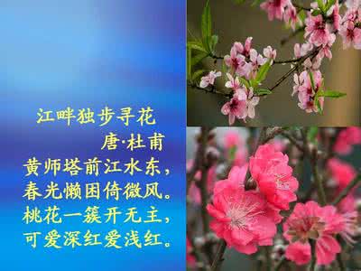 描述桃花的比喻句