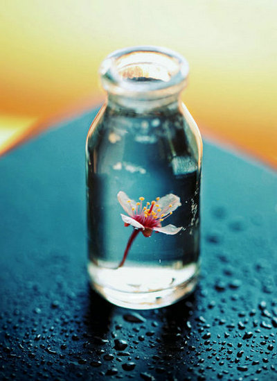 关于生活观念的句子的图片，关于生活观念的句子的简短讨论