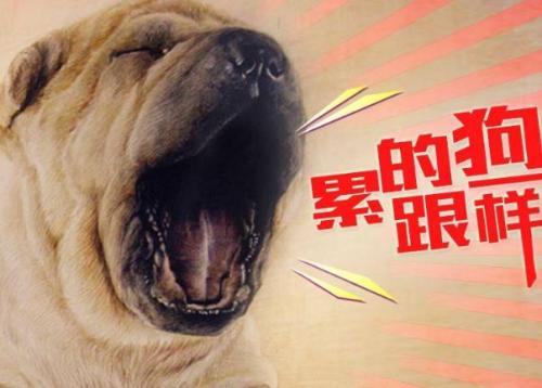 经典幽默的句子