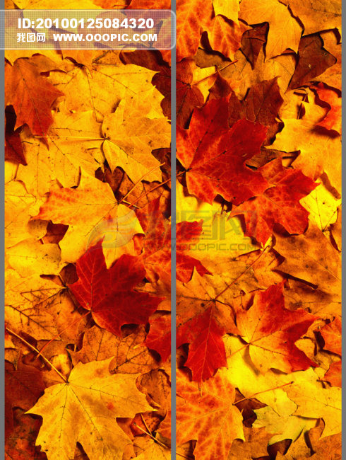 关于红叶的寓言