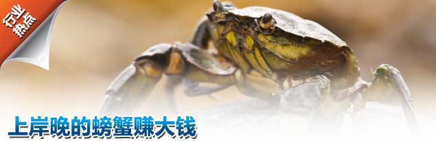 螃蟹过河谢厚yu