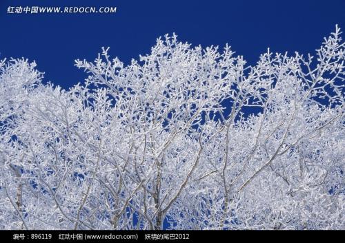 关于雪景的寓言