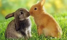 描写默默付出的句子