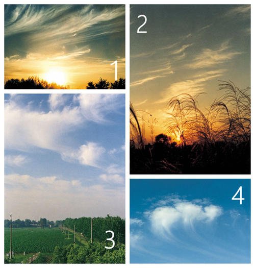 关于天气的谚语