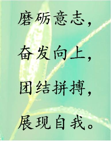 充满活力的课堂口号