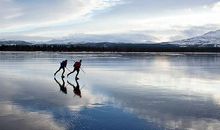 薄冰上迈步歇后语