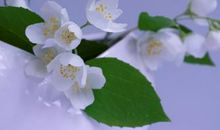 人心太复杂的说说