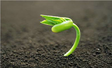 遭受苦难的动机句子1