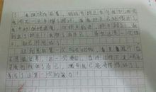 关于初中生的句子